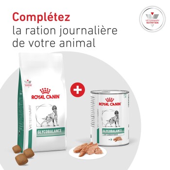 Sac sec Royal Canin Glycobalance, boîte et assiette de nourriture humide ; texte : Complétez la ration journalière de votre animal