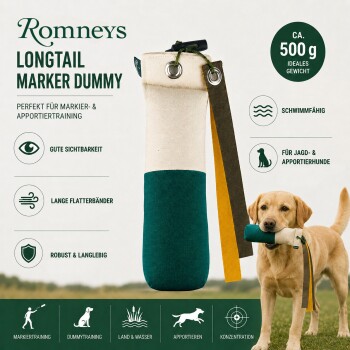 Golden Retriever sitzt auf einem Waldweg und hält ein grünes und weißes Trainingsdummy mit gelber Leine.