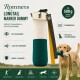 Golden Retriever sitzt auf einem Waldweg und hält ein grünes und weißes Trainingsdummy mit gelber Leine.