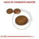 Image montrant trois croquettes de nourriture pour animaux de compagnie brunes de tailles variées avec un indicateur circulaire, étiqueté "TAILLE DE CROQUETTE ADAPTÉE."