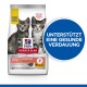 Tüte Hill's Science Plan Perfect Digestion Kitten <1 Katzenfutter mit zwei Kätzchen auf der Vorderseite und Text „Unterstützt eine gesunde Verdauung“.