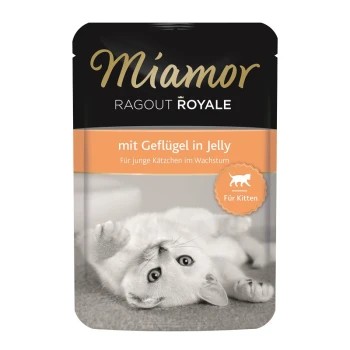Ragout Royale Kitten Geflügel 22x100 g Miamor Ragout Royale Katzenfutterbeutel mit einem verspielten weißen Kätzchen und dem Text: "mit Geflügel in Jelly" und "Für junge Kätzchen im Wachstum."