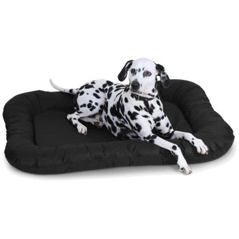 Ein Dalmatiner, der auf einem plüschigen schwarzen Hundebett entspannt und seine charakteristischen schwarzen Flecken auf einem weißen Fell zeigt.