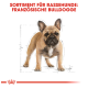 Illustration eines Französischen Bulldogs mit Maßlinien, begleitet von dem Text 'SORTIMENT FÜR RASSEHUNDE: FRANZÖSISCHE BULLDOGGE' oben.