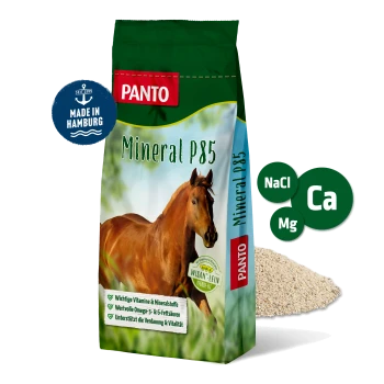 PANTO Pferdefutter Tasche mit einem braunen Pferd, mit Text, der Vitamine, Mineralien und Omega-3-Fettsäuren hervorhebt.