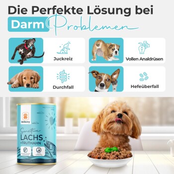 German Shephy Balloony Nassfutter Lachs