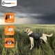 Ein gelber Labrador in einem ThunderShirt steht auf einer grasbewachsenen Fläche unter einem stürmischen Himmel, mit Symbolen für Bellen, laute Geräusche und Angst.