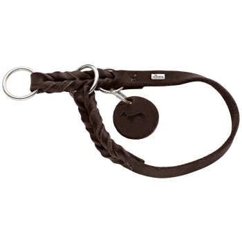 Geflochtenes braunes Lederhalsband für Hunde mit silbernen Ringen und einem runden Anhänger mit einer Hundesilhouette.