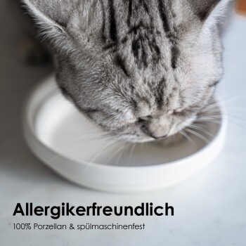 Eine Nahaufnahme einer grauen Katze, die aus einer weißen Porzellan-Schüssel frisst, mit dem Text "Allergikerfreundlich 100% Porzellan & spülmaschinenfest."