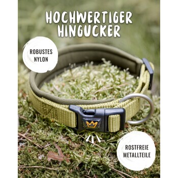 Ein strapazierfähiges grünes Nylon-Hundehalsband liegt auf Moos, mit einer schwarzen Schnalle und einem Metallring, mit Text, der seine Qualität und Materialien hervorhebt.