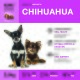 Hundefutterverpackung für ADULT CHIHUAHUA mit zwei Chihuahuas, violetter Header; 2,5 kg, 32 % Rind, 23 % Protein, 16 % Fett