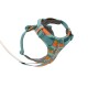Front Range™ Geschirr pfirsich XS
