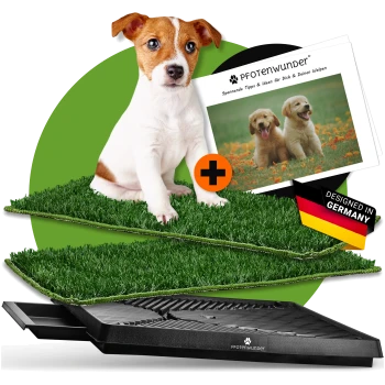 Ein Hund steht auf grünen Matten mit einem schwarzen Trainingsbrett darunter. Eine 'PFOTENwunder' Broschüre mit Welpenbildern ist in der Nähe.