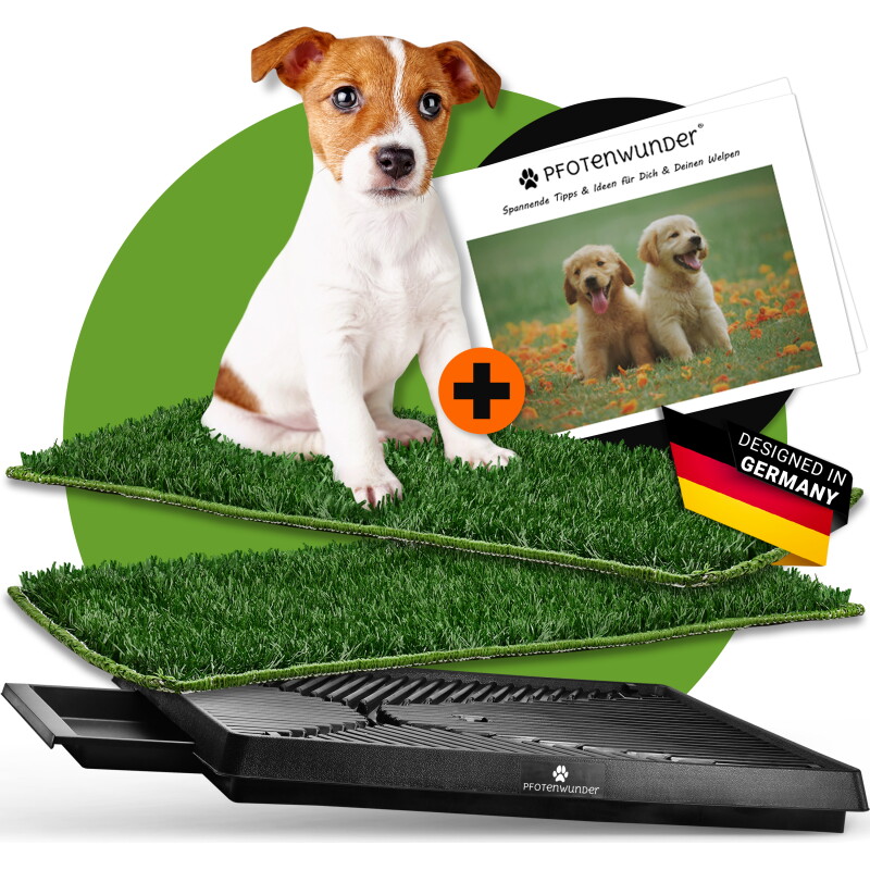 PfotenWunder® Hundeklo 63*51cm + 2 Easy-Wash-Rasen + 1 Büchlein, Hundetoilette für kleine & große Hunde, Festes Gras, Welpentoilette drinnen...