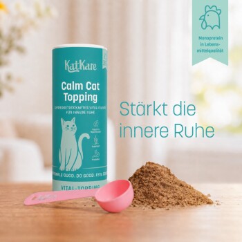 Graue British Shorthair-Katze neben einem türkisfarbenen Behälter mit der Aufschrift 'KatKare Calm Cat Topping', rosa Messlöffel und Pulver auf dem Tisch.