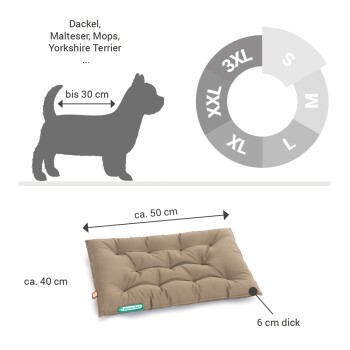 Schwarzes Hundekissen für kleine Hunde, Maße 50 cm x 40 cm x 6 cm, geeignet für Rassen wie Dackel und Yorkshire Terrier.