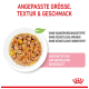 Katzenfutter in einer weißen Schüssel mit Fleisch- und Gemüsestücken, mit Text, der keine Konservierungsstoffe, künstliche Aromen oder Farben hervorhebt.