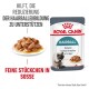 Royal Canin Hairball Katzenfutter, mit zarten Stückchen in Sauce, behauptet, die Bildung von Haarballen in 14 Tagen zu reduzieren.