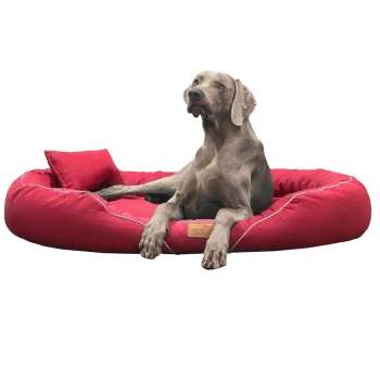 Ein grauer Weimaraner-Hund, der auf einem plüschigen roten Haustierbett mit einem kleinen passenden Kissen liegt, mit einem Holzschild, das "tierhandler" beschriftet ist.