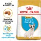 Karma Royal Canin dla szczeniąt buldogów francuskich, z obrazkiem szczeniaka, z tekstem podkreślającym odżywianie rasy i wsparcie odporności.