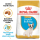 Karma Royal Canin dla szczeniąt buldogów francuskich, z obrazkiem szczeniaka, z tekstem podkreślającym odżywianie rasy i wsparcie odporności.