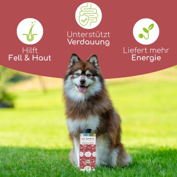 Drei Flaschen BIO Barf Öl für Haustiere, mit Omega 3-6-9 und natürlichem Vitamin E, mit einer Pappschachtel im Hintergrund.