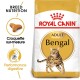 Sac de nourriture pour chat Royal Canin Adult Bengal avec une illustration d'un chat Bengal en train de courir, avec un texte mettant en avant la nutrition de la race et la performance digestive.