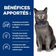 Un chat gris aux yeux verts avec un collier bleu est assis droit. Le texte met en avant les avantages : digestion, nutrition de la peau et barrière cutanée saine.
