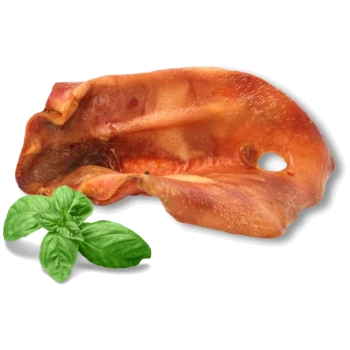 Getrockneter Schweineohr-Kauknochen für Hunde mit frischen grünen Basilikumblättern auf weißem Hintergrund.