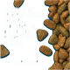 Braunes Trockenfutter auf blauem Hintergrund mit WALTHAM-Logo und deutschem Text über das Waltham Petcare Science Institute.