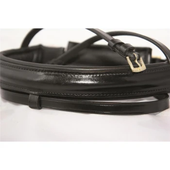 Schwarze Lederhaustiertragetasche mit glänzender Oberfläche und goldener Schnalle, teilweise auf einer weißen Fläche gefaltet.