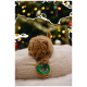 Lockiger brauner Welpe spielt mit einem grün-braunen Donut-förmigen Spielzeug auf einem beigen Bett mit verschwommenen Weihnachtslichtern im Hintergrund.
