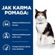 Kotek kaliko siedzi na białym tle z tekstem wymieniającym korzyści z karmy dla zwierząt: wspiera tarczycę, zdrowie nerek, serca i masę mięśniową.