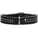Schwarzes Lederhalsband für Haustiere, verziert mit funkelnden Strasssteinen und einer silbernen Schnalle.