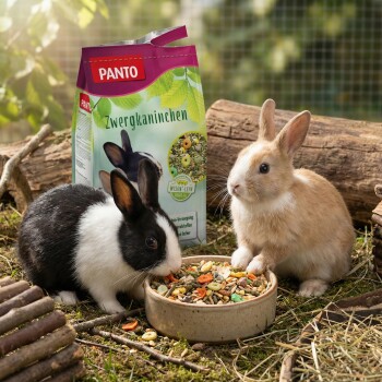 Ein brauner Kaninchen neben einem bunten Haufen Futter und einem Beutel mit der Aufschrift "PANTO Zwergkaninchen" mit Kaninchenbildern und Nährstoffinformationen.