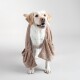Ein glücklicher Labrador Retriever trägt ein weiches, braunes Haustierhandtuch mit Taschen, steht vor einem hellgrauen Hintergrund.