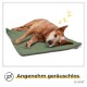 Selbstheizende Hundedecke grün