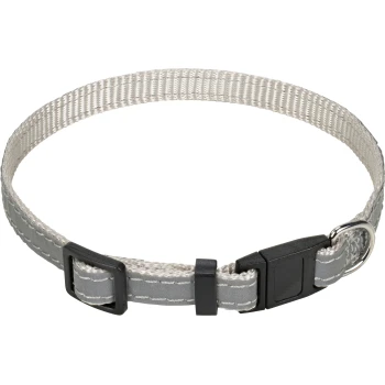 Graues Haustierhalsband mit reflektierenden Nähten, mit einer Kunststoffschnalle und einem Metall-D-Ring zur Leinenbefestigung.