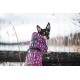 Ein schwarz-brauner Hund trägt einen bunten, pink-blauen gemusterten Mantel mit dem Etikett "PAIKKA" und steht auf einem Holzzaun in einer Winterlandschaft.