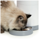 Eine flauschige Katze, die aus einer grauen Schüssel mit Trockenfutter frisst, neben einem modernen weißen automatischen Futterspender.