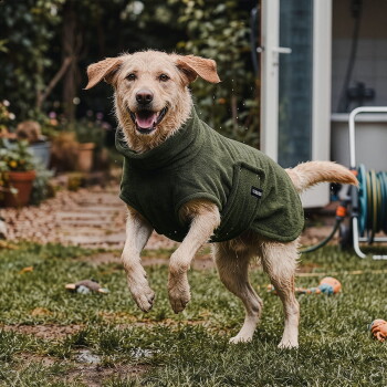 Hund-Strichzeichnung mit gestrichelter Rückenmaßlinie, Halsband 'THE DOG IDEA', deutsche Überschriften 'Rückenlänge' und 'Gewicht'