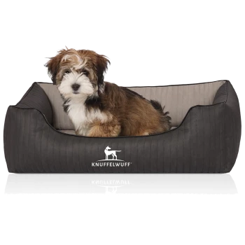 Flauschiger braun-weißer Welpe sitzt in einem grauen Hundebett mit 'KNUFFELWUFF'-Logo vorne