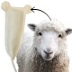 Eine weiche, cremefarbene Haustierdecke mit Bärenohren an den Ecken, ideal für kleine Tiere.