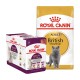 Emballage de nourriture pour animaux de compagnie Royal Canin présentant une boîte de sachets sensoriels pour chats et un sac de nourriture sèche pour chats adultes British Shorthair.