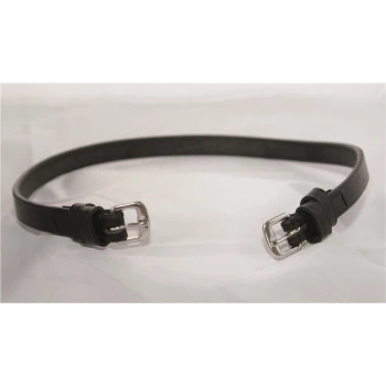 Schwarzes Leder-Hundehalsband mit silbernen Schnallen, auf einem hellen Hintergrund präsentiert.