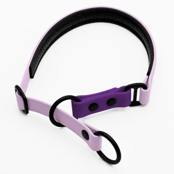 Zugstopp Halsband Lavendel S Lila und rosa verstellbares Haustierhalsband mit schwarzen Akzenten und zwei Metallringen, entworfen für Komfort und Stil.