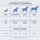 Infografik, die die empfohlenen täglichen Nahrungsmengen für erwachsene und ältere Hunde zeigt, kategorisiert nach Größe: kleine, mittlere, große und riesige Rassen.