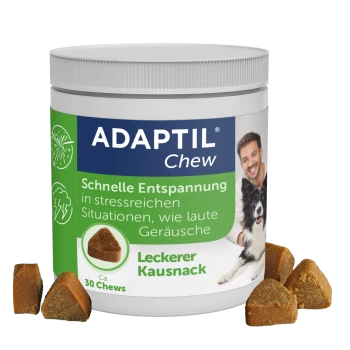 ADAPTIL Chew Dose für Hunde, grünes Etikett mit „Schnelle Entspannung“ und „Leckerer Kausnack“, Hundeabbildung und Kausnack-Stücke.