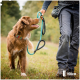 Eine Person, die einen glücklichen braunen Hund mit einem bunten Halsband führt, während sie eine blaue Leine in einer grasbewachsenen Umgebung hält.