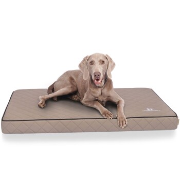 Ein großer, hellbrauner Hund ruht sich bequem auf einem beigen, gesteppten Haustierbett mit schwarzem Rand aus, das das Markenlogo in der Ecke zeigt.